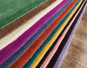 Barevná rozmanitost