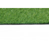 Travní koberec Greengrass (Lazio) metrážní