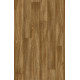 PVC podlaha Expoline Golden Oak 036M - dub