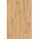PVC podlaha Expoline Golden Oak 060L - dub