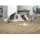 PVC podlaha - lino Ambient Silk Oak 603M - dub