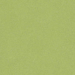 PVC podlaha - lino Master X 2973