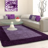 AKCE: 80x150 cm Kusový koberec Life Shaggy 1503 lila