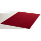 AKCE: 67x120 cm Kusový koberec Nasty 101151 Rot