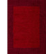 AKCE: 120x170 cm Kusový koberec Life Shaggy 1503 red