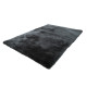 AKCE: 120x170 cm Kusový koberec Sanzee (Sansibar) 650 graphite
