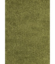 Kusový koberec Dream Shaggy 4000 green