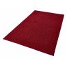 AKCE: 80x150 cm Kusový koberec Pure 102616 Rot