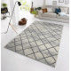 AKCE: 160x230 cm Kusový koberec Capri 102552