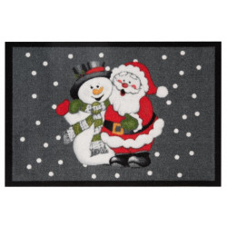 AKCE: 40x60 cm Rohožka Printy 103048 - na ven i na doma