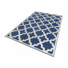 AKCE: 70x140 cm Kusový koberec Capri 102558