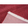 AKCE: 80x150 cm Kusový koberec Samoa 001010 Red