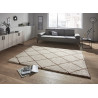 AKCE: 80x150 cm Kusový koberec Allure 104026 Brown