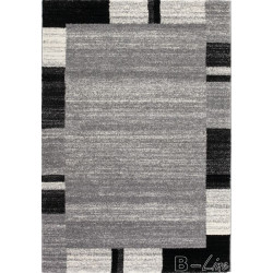 AKCE: 120x170 cm Kusový koberec Amrit 152 silver