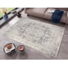 AKCE: 80x150 cm Kusový orientální koberec Chenille Rugs Q3 104771 Cream-Grey
