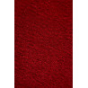 AKCE: 75x150 cm Ručně všívaný kusový koberec Sierra Red