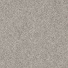Metrážový koberec Fortuna 7850, zátěžový
