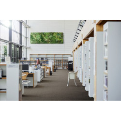 Metrážový koberec Merit new 6752