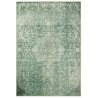 AKCE: 160x230 cm Kusový orientální koberec Chenille Rugs Q3 104780 Green