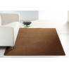 AKCE: 80x150 cm Kusový koberec Nasty 101154 Braun