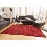 AKCE: 200x290 cm Kusový koberec Nomadic 102688 Meliert Rot