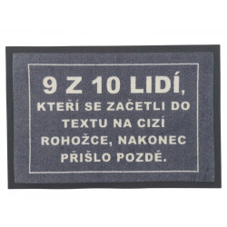 Rohožka, která zdržuje 40x60 cm