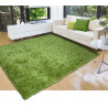 AKCE: 200x290 cm Kusový koberec LILOU Green
