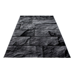 AKCE: 80x150 cm Kusový koberec Parma 9250 black