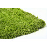 Kusový koberec FUSION 91311 Green