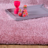 AKCE: 120x170 cm Kusový koberec Emilia 250 rose