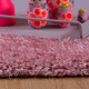 AKCE: 120x170 cm Kusový koberec Emilia 250 rose