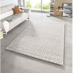 AKCE: 120x170 cm Kusový koberec Stella 102604