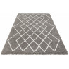 AKCE: 80x150 cm Kusový koberec Passion 103678 Grey, Cream z kolekce Elle