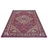 AKCE: 80x200 cm Kusový koberec Asmar 104898 Cream Red