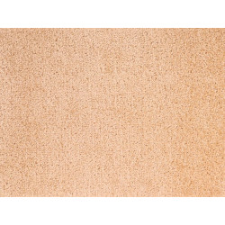 AKCE: 92x255 cm Metrážový koberec Dynasty 70