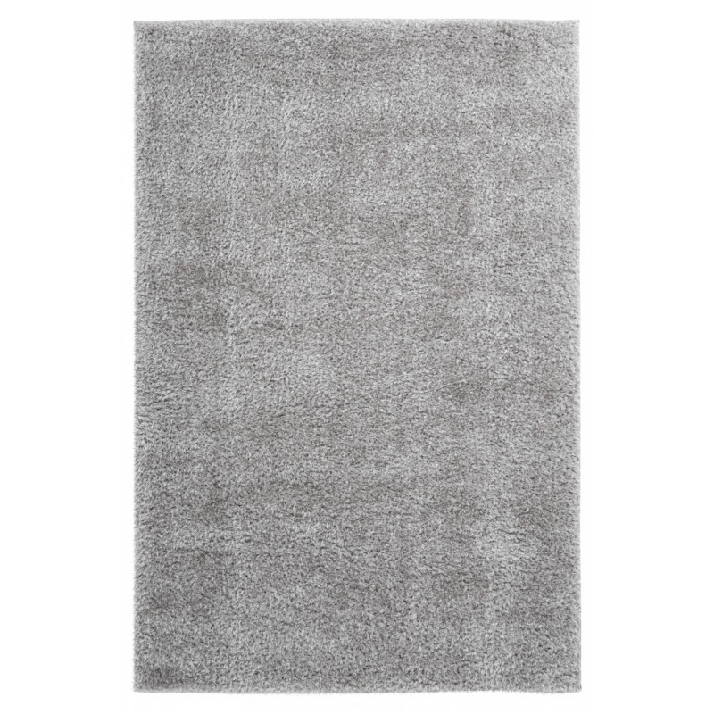 AKCE: 160x230 cm Kusový koberec Emilia 250 silver