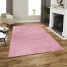 Kusový koberec Delgardo 501-07 Rose