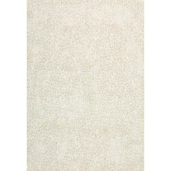 AKCE: 80x140 cm Kusový koberec Piazzo 12268 100