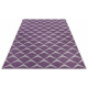 Kusový koberec Jaffa 105240 Purple violet Cream