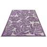 Kusový koberec Jaffa 105245 Purple violet Cream – na ven i na doma