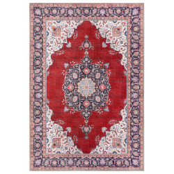 Kusový koberec Asmar 104970 red, rose, multicolored
