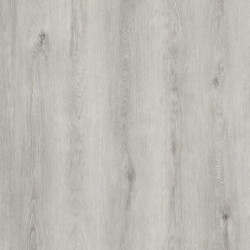 Vinylová podlaha lepená Aura 809 Spring Oak Light Grey  - dub