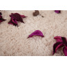 AKCE: 200x290 cm Kusový koberec Velvet 500 ivory