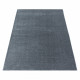 AKCE: 80x150 cm Kusový koberec Rio 4600 silver