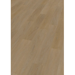 Vinylová podlaha lepená ECO 55 064 English Oak Honey  - dub