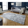 AKCE: 120x170 cm Kusový koberec Eris Marbled Silver