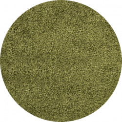 Kusový koberec Dream Shaggy 4000 Green kruh