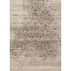 AKCE: 160x230 cm Kusový koberec Patina 41001/620