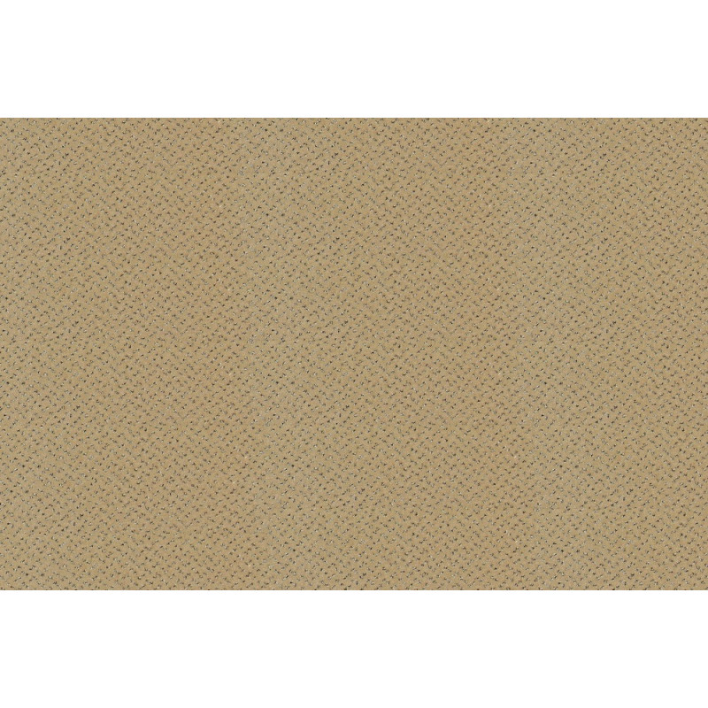 Metrážový koberec Fortesse SDE New 138, zátěžový