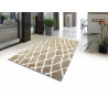 AKCE: 160x235 cm Kusový koberec Nano Shag 625 GY6J